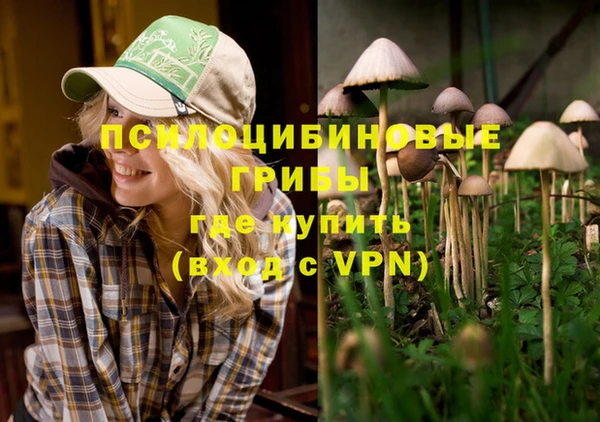 бутират Богородицк