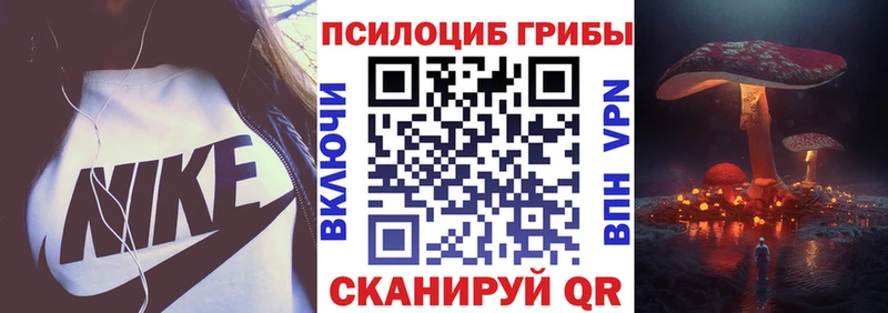 kraken как войти  сайты даркнета официальный сайт  Галлюциногенные грибы прущие грибы  Клин 